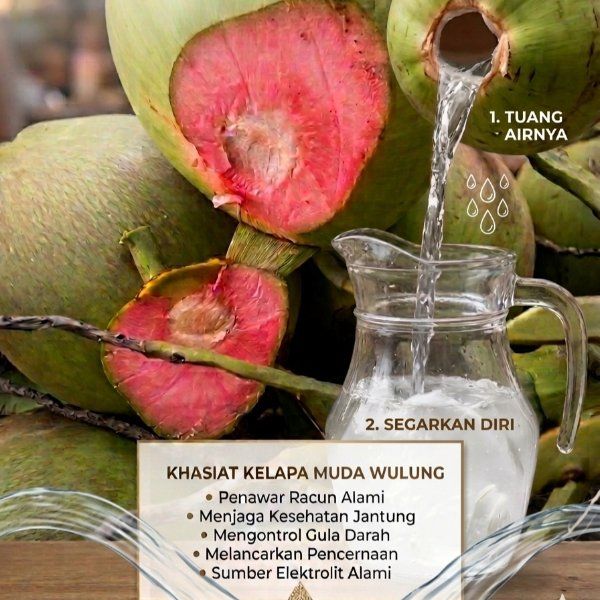 Kelapa Muda Hijau Wulung